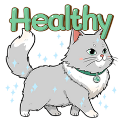 MaoMao One. P A F (2020) CO., LTD.