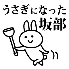 うさぎになった坂部