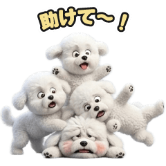 ビションフリーゼのLINEスタンプ72