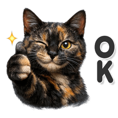 毎日使える！ サビ猫