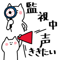 ◎かまって白ねこちゃん◎