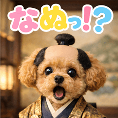 とびだす★トイプードル♪楽しい★トイプー