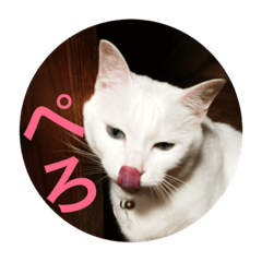 シュウーーーーー