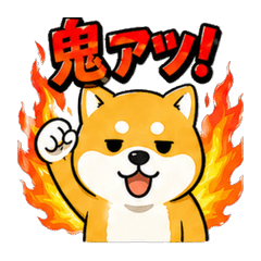 激あつ柴犬