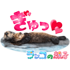 イッテQ！珍獣スタンプ ～カナダ編～
