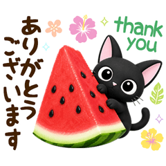 黒猫の気づかい大人スタンプ 3D 夏・敬語