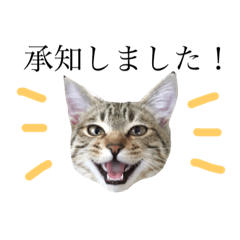 敬語ミックス猫田むぎ