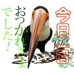 私たち の 動植物