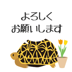 カメの吹き出し