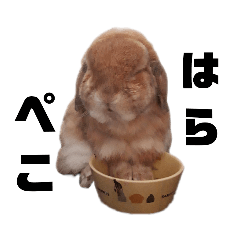 バーピーのすたんぷ