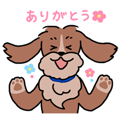 ミックス犬のブラン