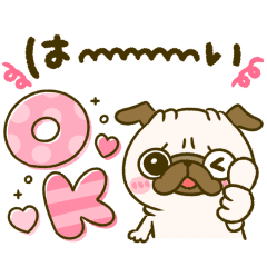 動く♡かわいいパグちゃん♡