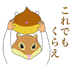 栗とリス２