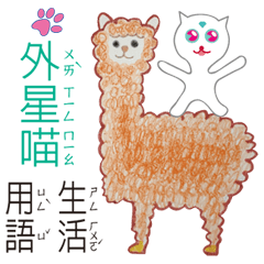 猫はベアーFORYOUとの星から来ました