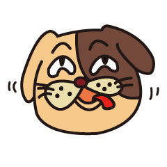 毎日わんだふるライフ