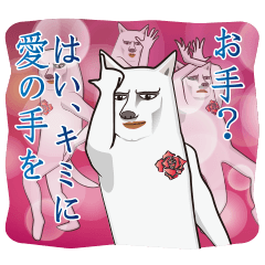 ダンディ・ワンコ