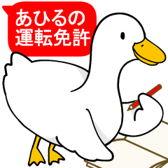 あひるの運転免許