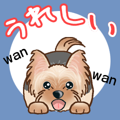 Yorkie ヨーキー Ver2