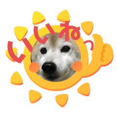 まめしばりん 2