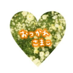 お花の写真と手書き文字