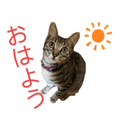 ちくわであそぶ〜？