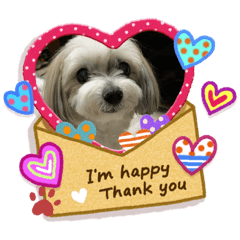 ほのぼの愛犬ほのん