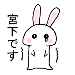 泣き虫うさぎの「宮下さん」