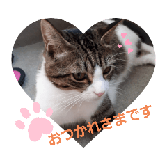 さくらや　ハッピー君