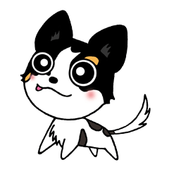 チワワ犬CHOCOのHappyLife