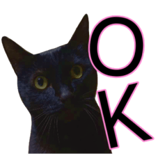 黒猫ビビちゃんのスタンプ