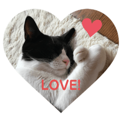 ハッピーとこゆき三周年記念スタンプ