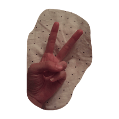 よーちぇけらっちょ