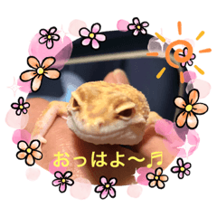 マロン☆♪