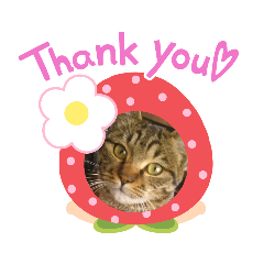 あいさつネコちゃん、ピーちゃん！