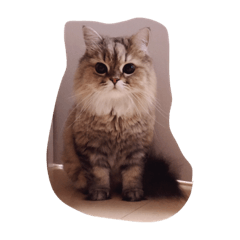 だいなまるのスタンプ