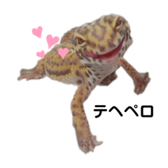 トロちゃんです