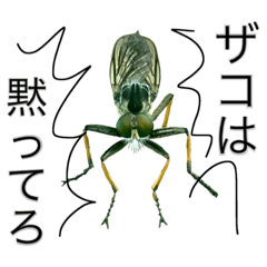 昆虫スタンプ(実写)悪そうな虫
