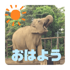 ほっこり動物たちのスタンプ