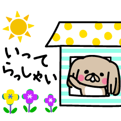 毎日ワンコ☆ペキニーズと一緒