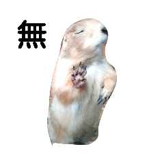 ちょーテキトーなプレーリードッグ