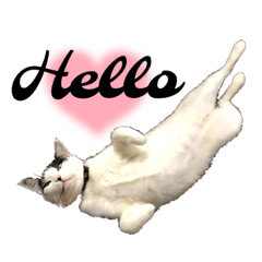 メッセージスタンプ その4