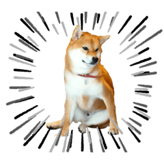 まさむね　すたんぷ