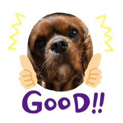 はなまるあいさつスタンプ