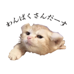 使えないちくわスタンプかわちい！！