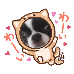 チンチワまろくんDX