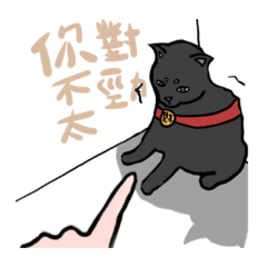 Betty_20221016182404