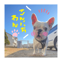 フレブルのぶーちゃんスタンプ1