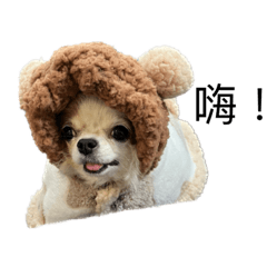 Doudou_20230112224122