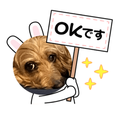 愛犬ドレのスタンプ3！