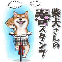柴犬さんの春スタンプ